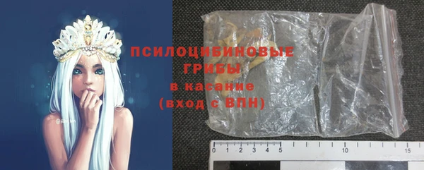 стафф Кулебаки